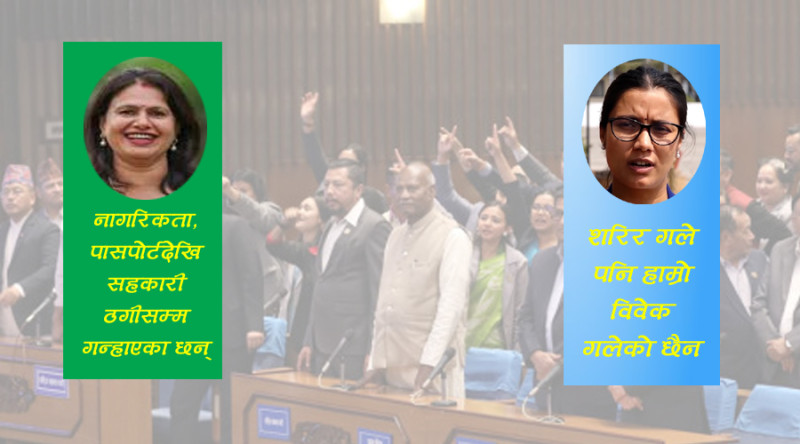 प्रतिनिधि सभामा तमासा छः २० सांसद ४० मार्सल, सभामुख घिमिरेको नीति बन्यो ‘पेलपाल’