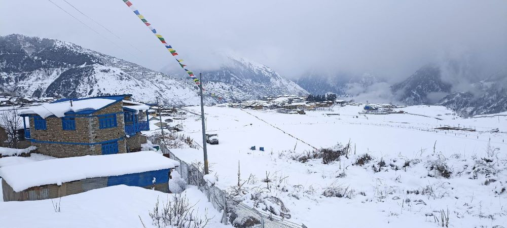 हुम्लामा बाक्लो हिमपात, किसानहरू खुसी