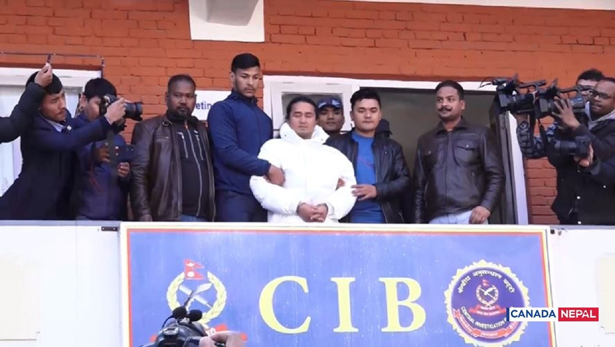 Bomjam_revelied_cib-1704889189.JPG