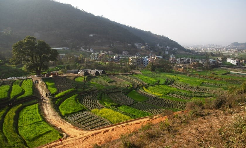 Greenery-DSC_4871_QJPj1xqiu01677914577.jpg