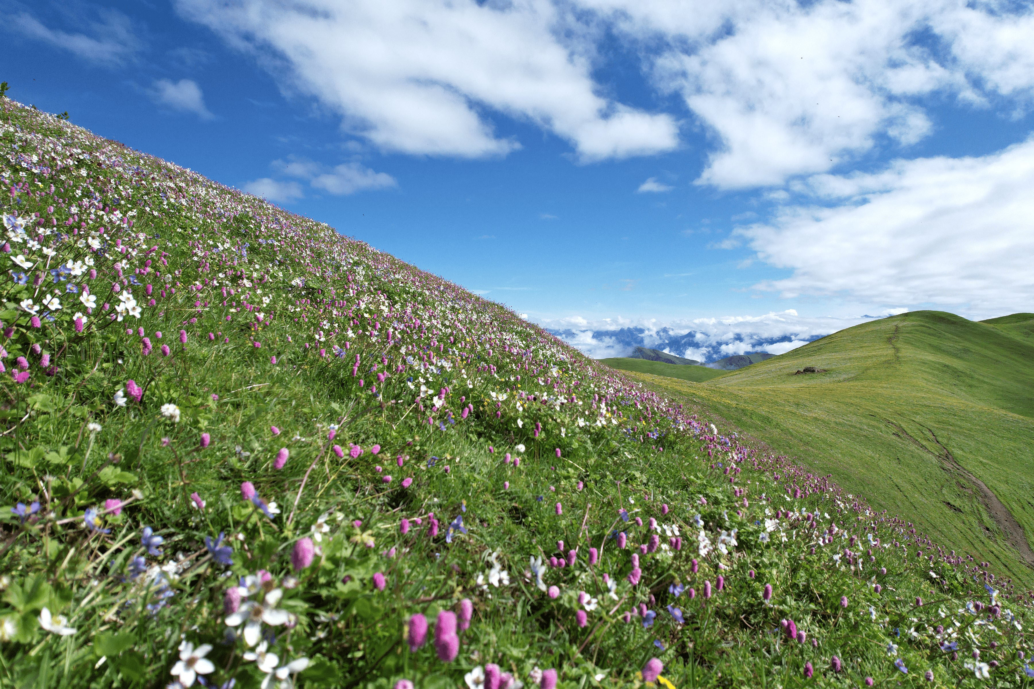 KN_DANG_DJI_0449-1752132769.jpg