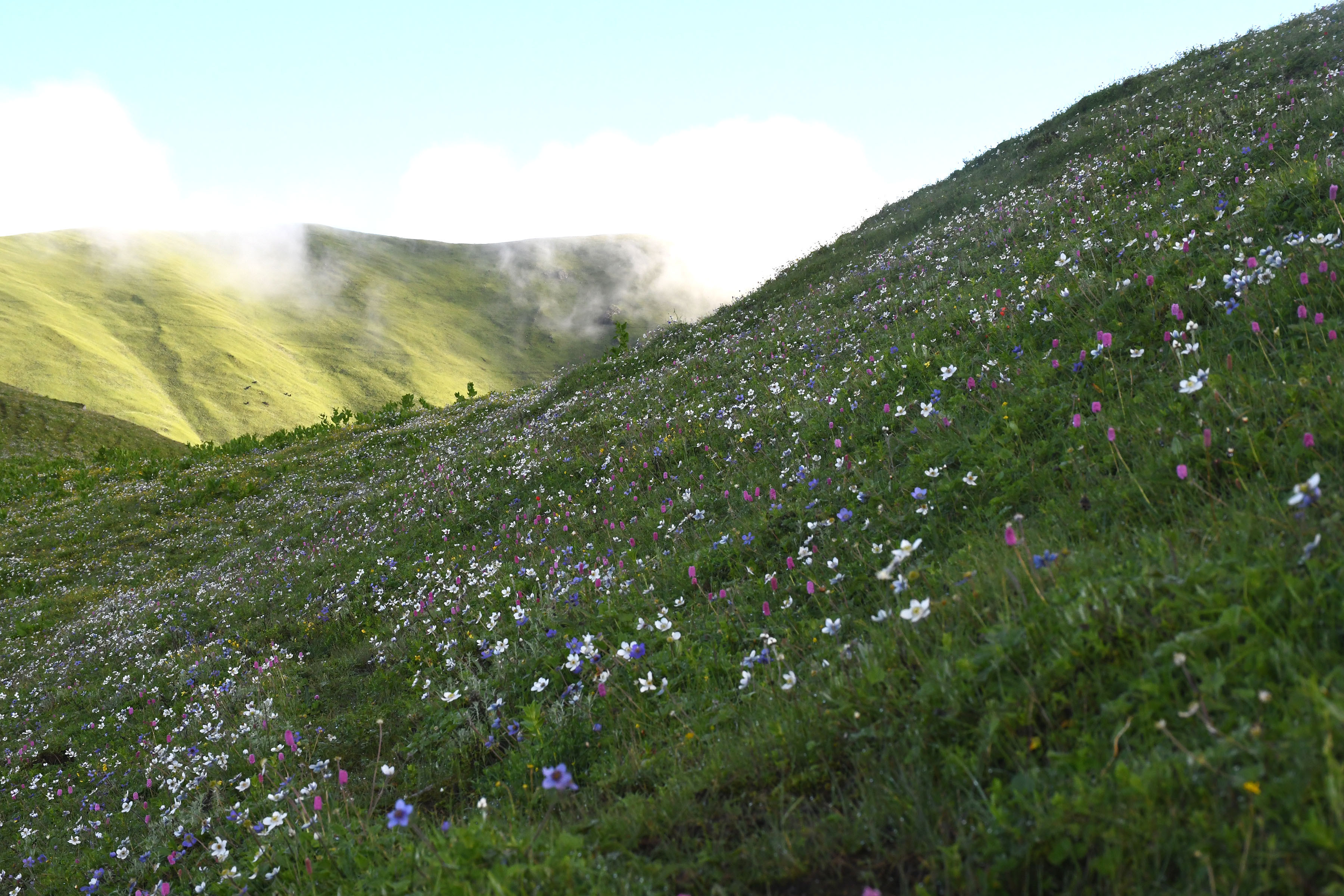 KN_DANG_DSC_4513-1752132772.jpg