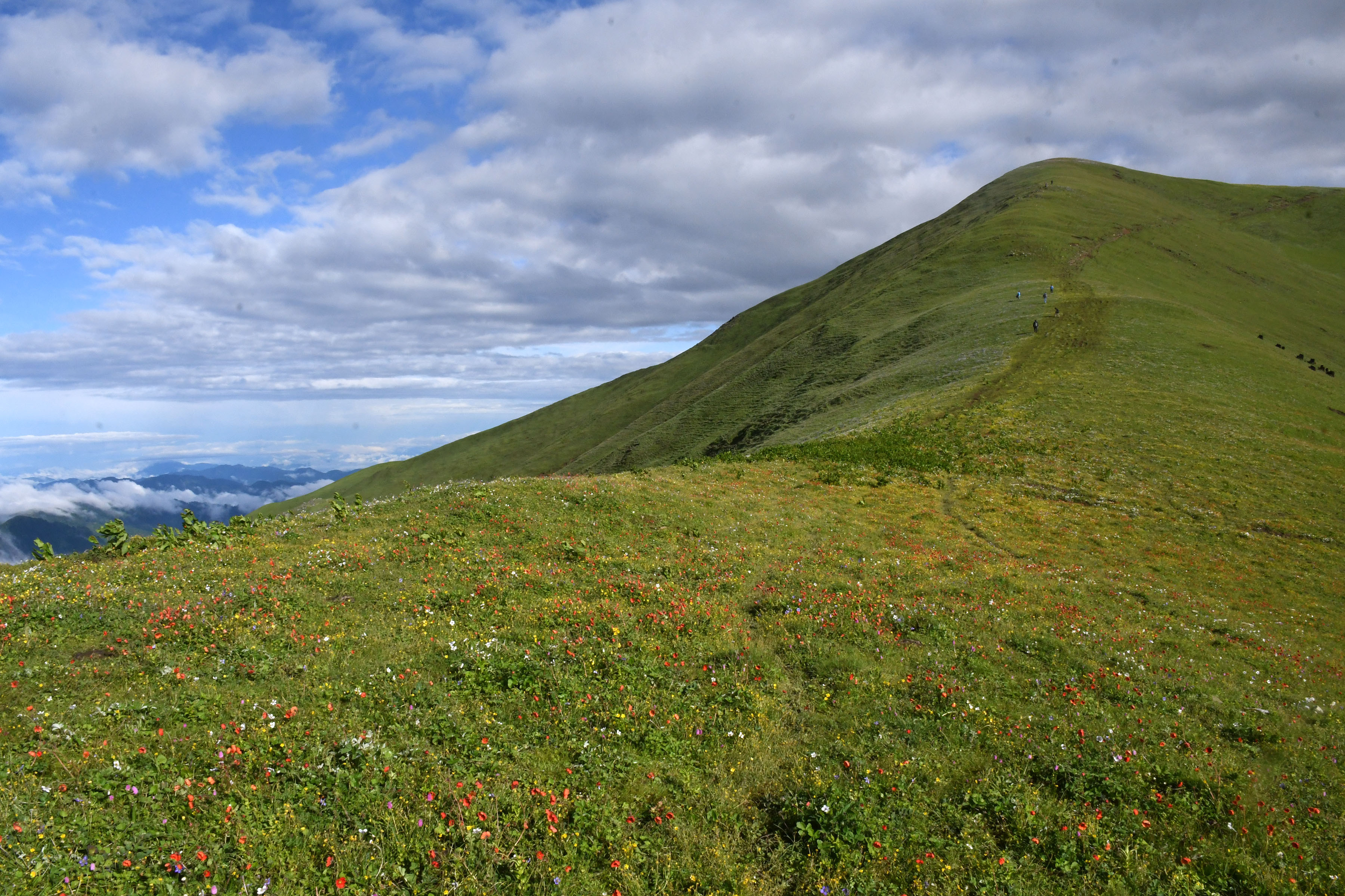KN_DANG_DSC_4654-1752132783.jpg