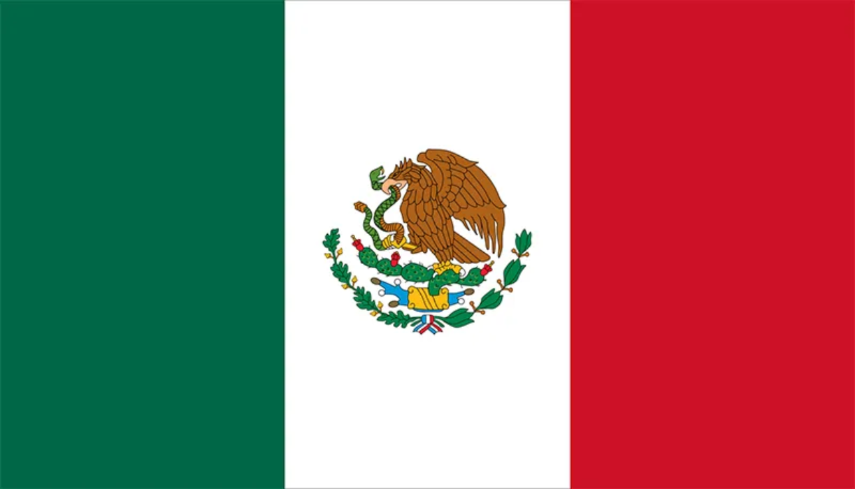 मेक्सिकोको एक कार दौडमा सहभागी १० जना मारिए