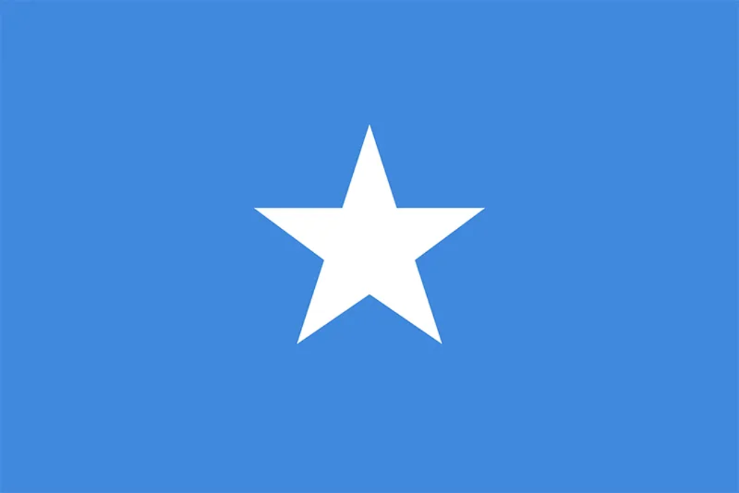 सोमालियामा आत्मघाती विष्फोट : ४ जना सैनिकको मृत्यु