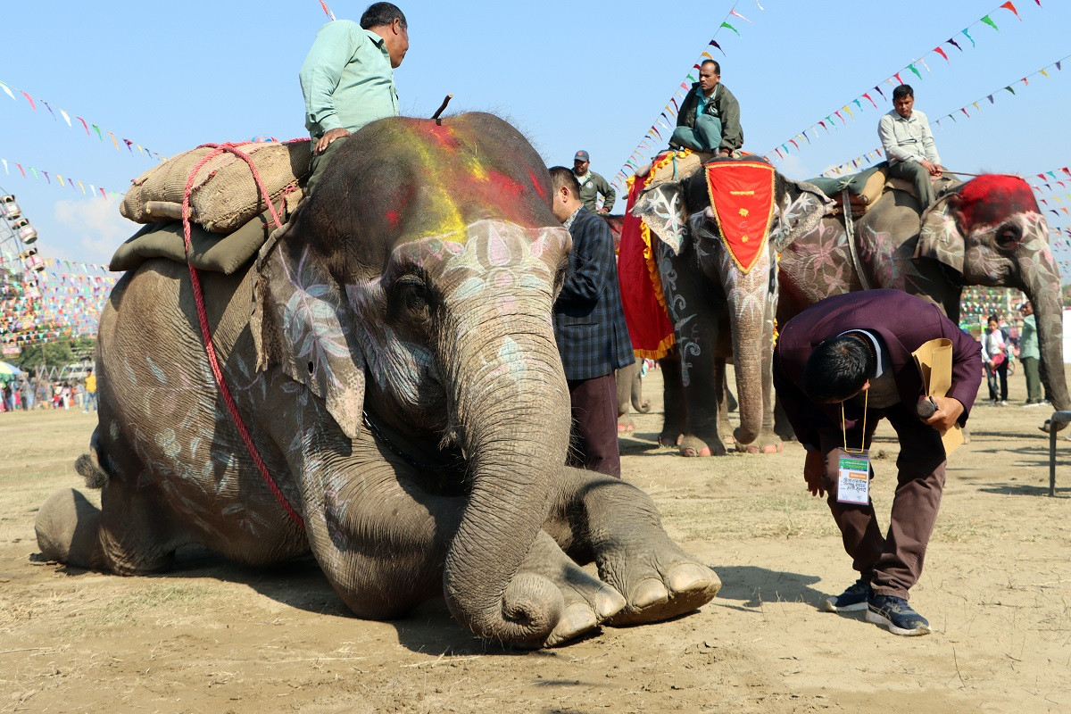 Sundari-compititation_chitwan_rssphoto1-1703691321.jpg