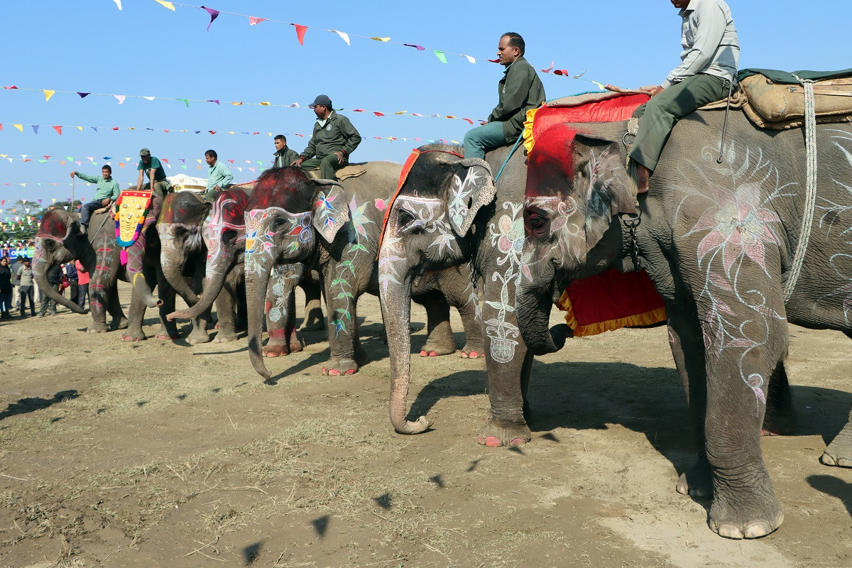 Sundari-compititation_chitwan_rssphoto3-1703691321.jpg