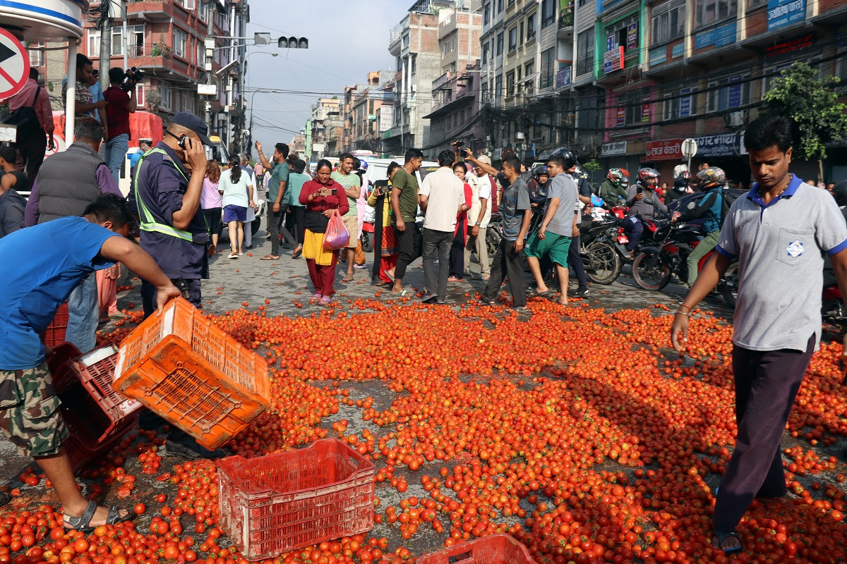 गोलभेँडा फालिएको विषयमा छानबिन गर्न सरकारलाई समितिको निर्देशन