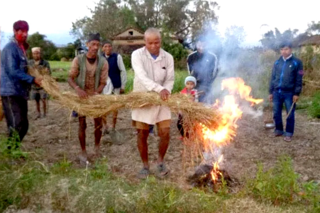 थारू समुदायमा होली पर्व : देउथानमा बालेको नयाँ आगो भित्र्याइन्छ घर–घरमा