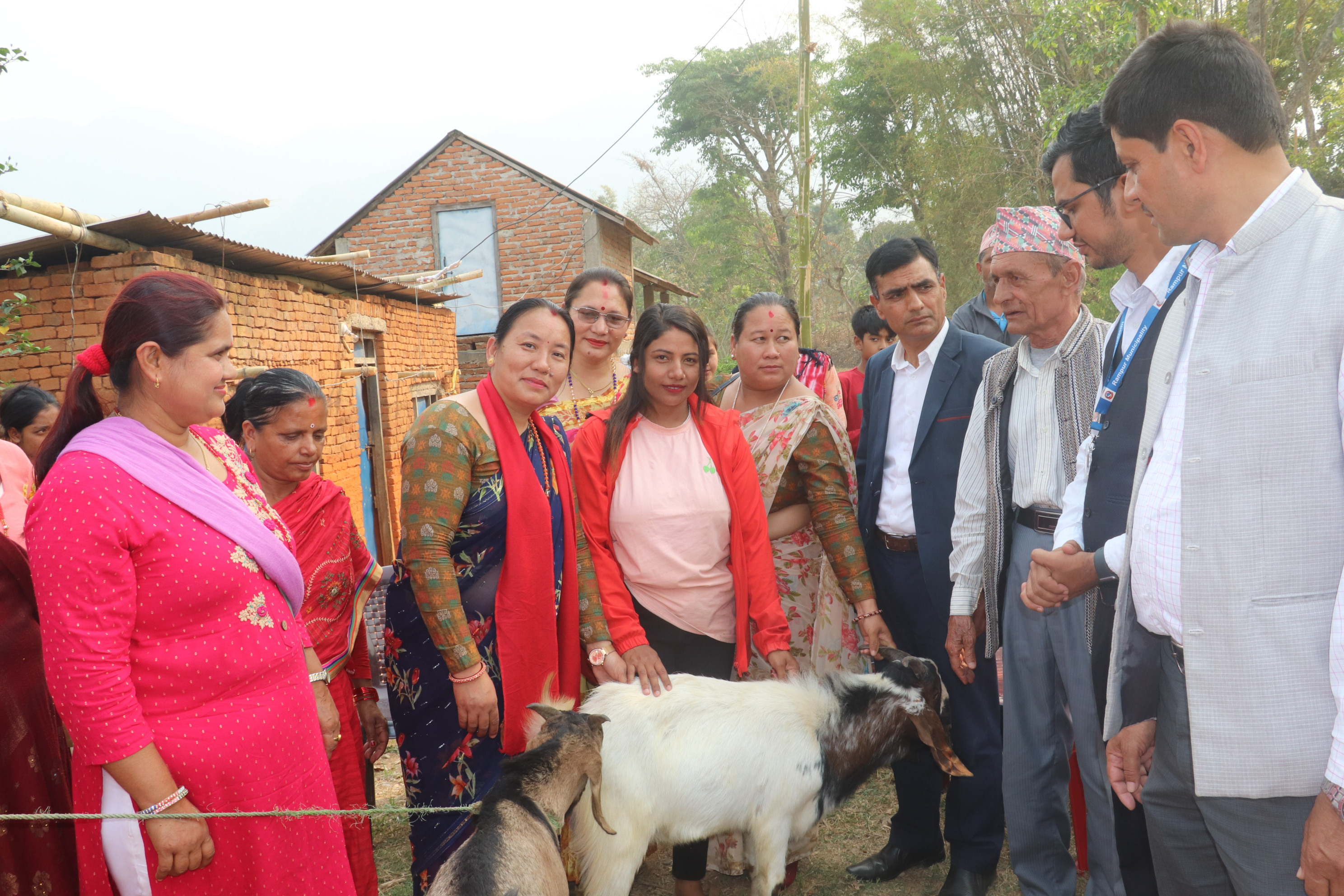 पाल्पाका किसानलाई बाख्रा उपहार