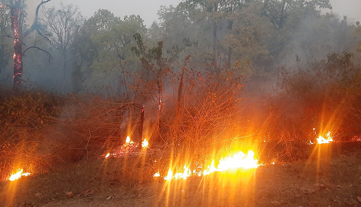 वन डढेलो संकट घोषणा गर्न माग