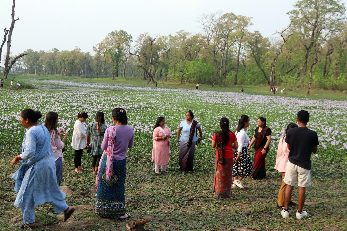 batuli_lake_chitwan_rssphoto11684677996.jpg