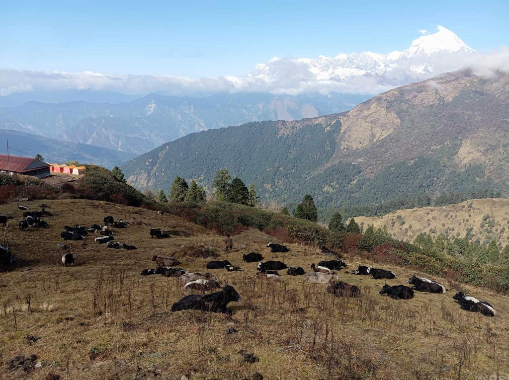पर्यटकका पर्खाइमा बयली
