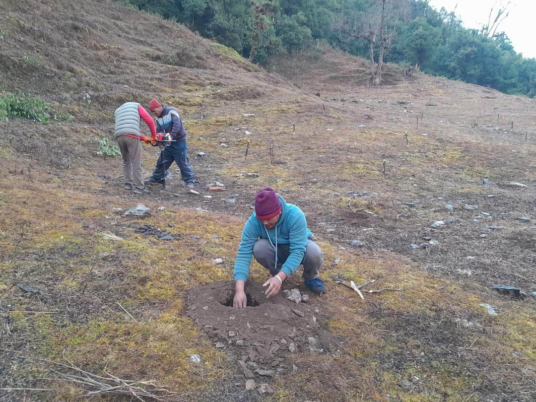 युवा विदेश पलायन, बाँझो जमिनमा फलफूल खेती