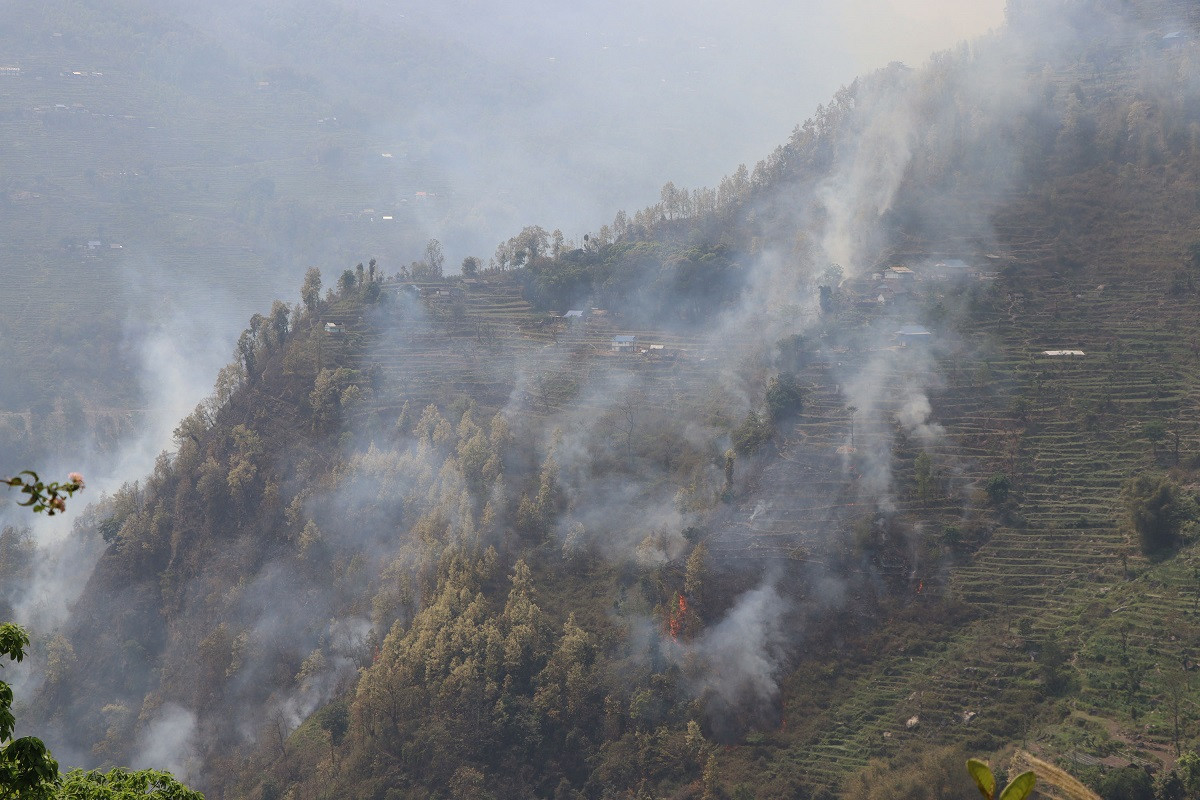 डढेलो नियन्त्रणमा नआउँदा गाउँ नै जोखिममा