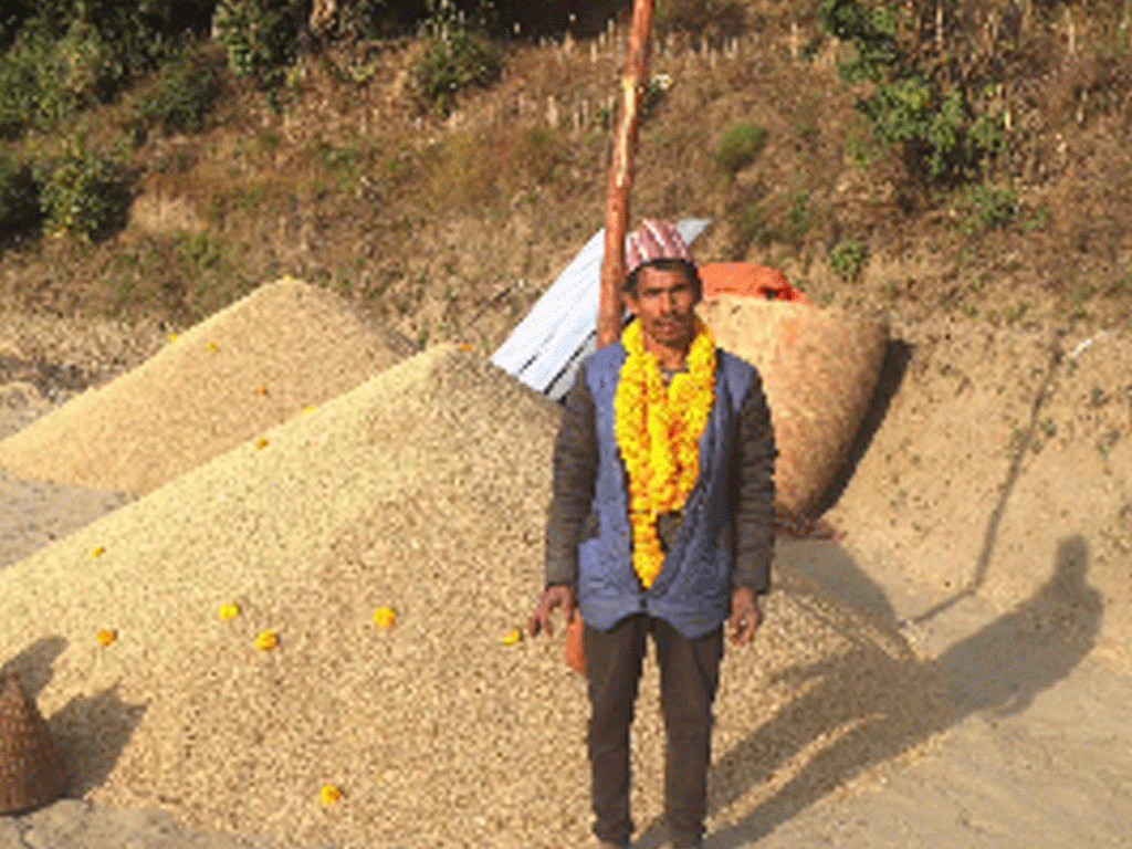 १६८ मुरी धान फलाएर सम्मानित भएका बम्जन दम्पती भन्छन्- दुःख नभई सुख हुँदैन रहेछ