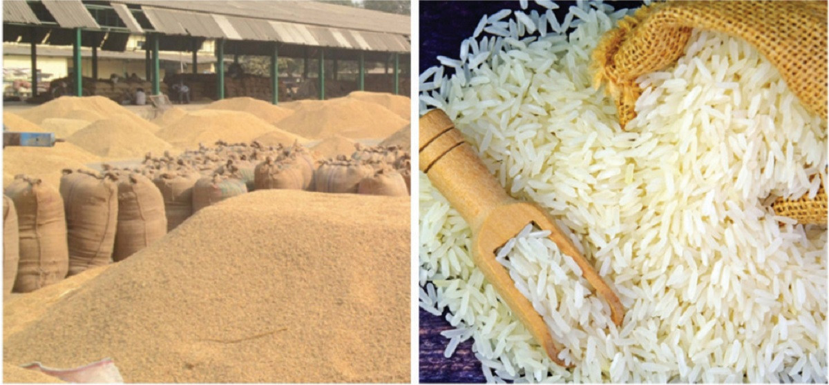 भारतीय बजारमा धान चामलको मूल्य बढ्दा किसान खुसी, उपभोक्ता मारमा