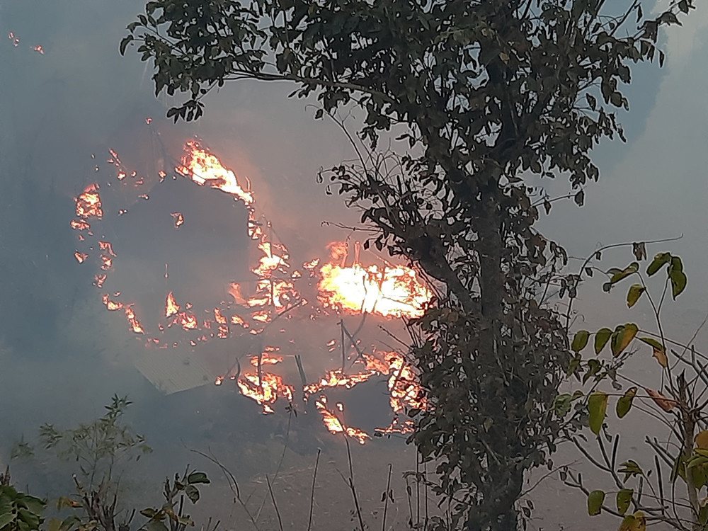 उदयपुरमा डढेलो फैलिन थालेपछि बस्ती जोखिममा