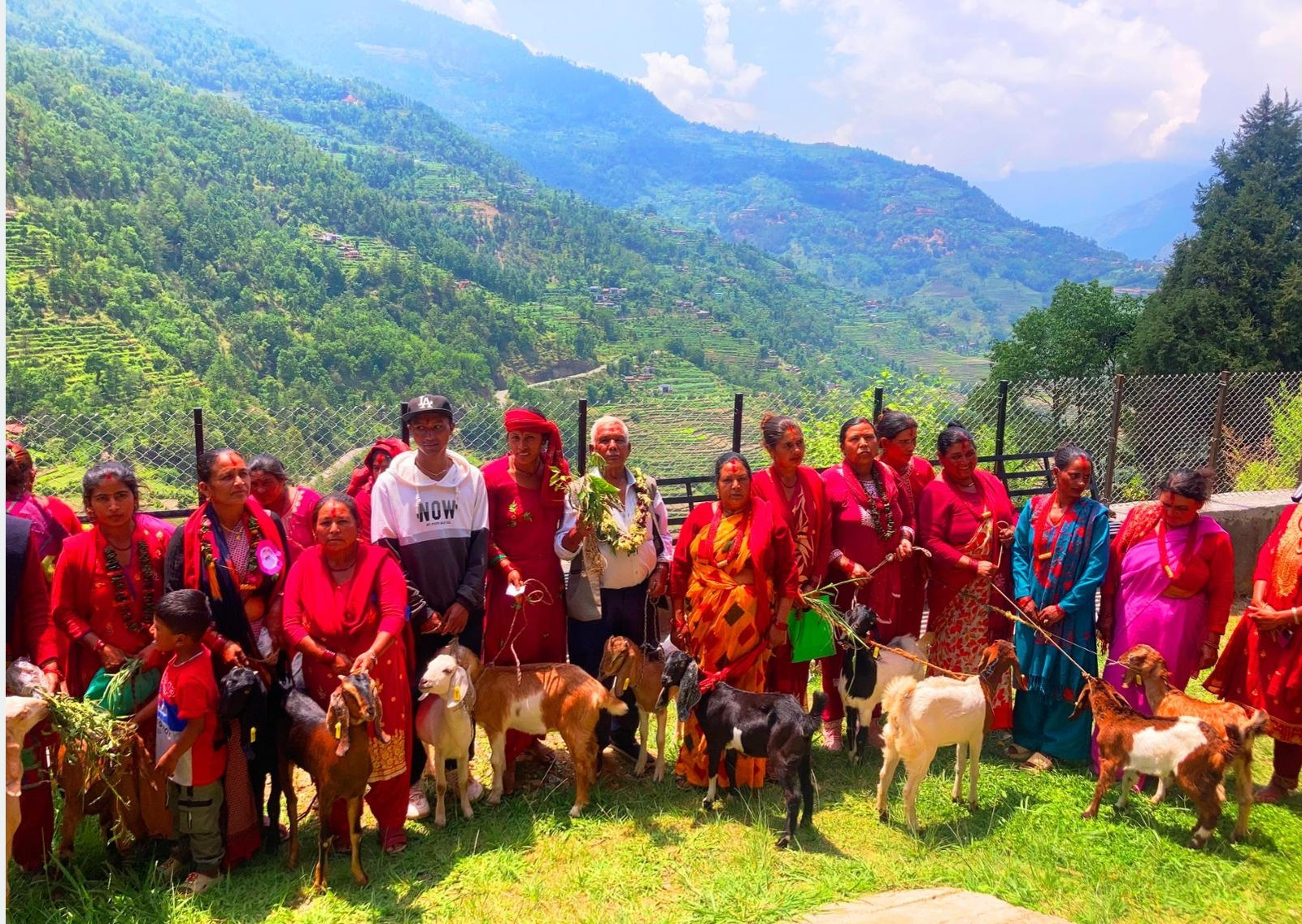 किसानका आयआर्जनमा सघाउन ‘बाख्रा उपहार’