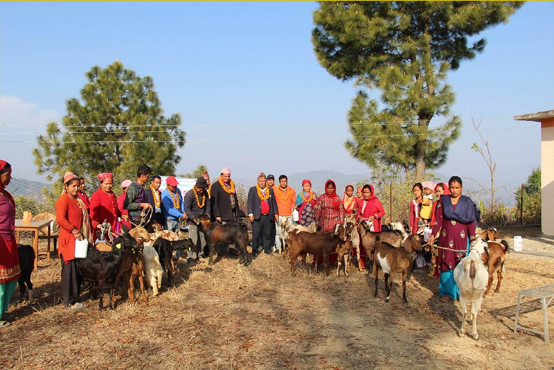 किसानलाई बाख्रा वितरण