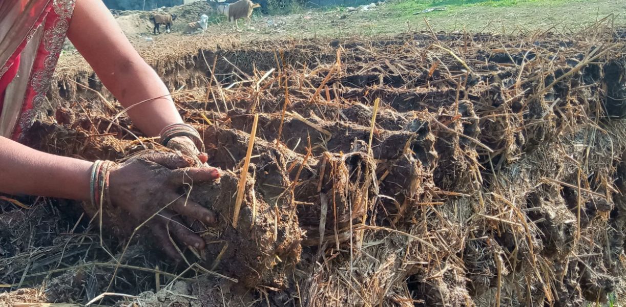 दाङमा दाउराको सट्टा ‘गुइँठा’