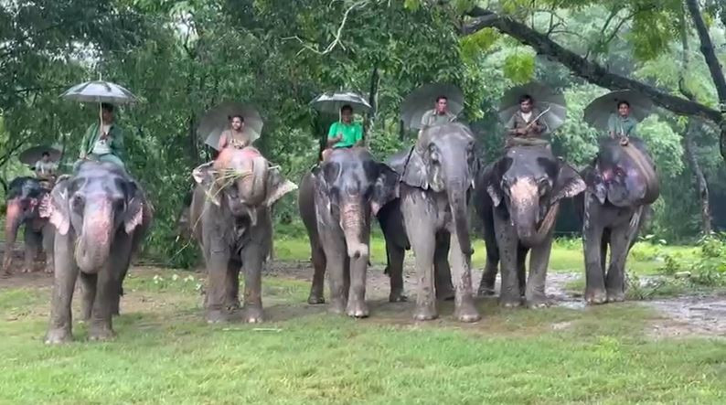 चार वर्षपछि सौराहामा हात्ती महोत्सवको तयारी