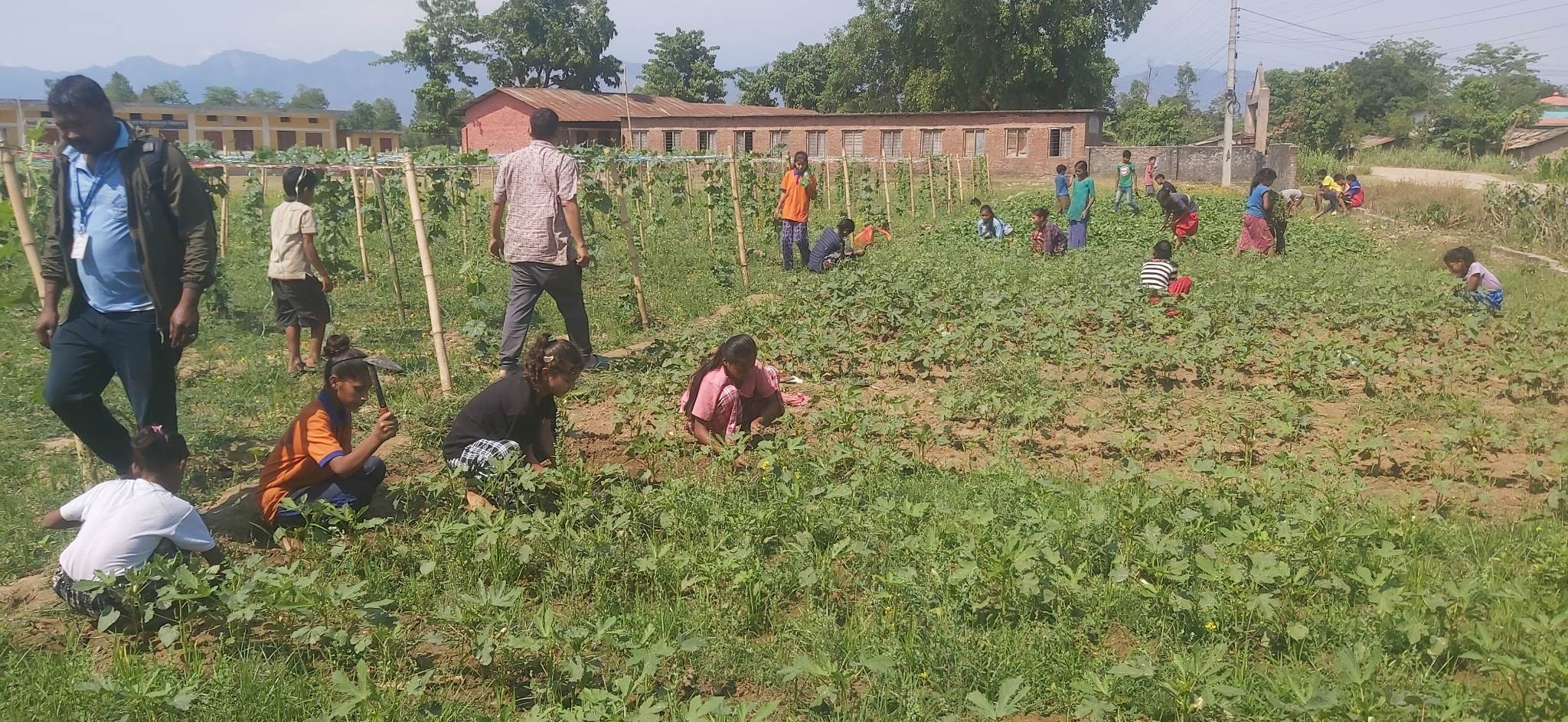 जय पार्वतीका विद्यार्थी : पढाइसँगै करेसाबारी स्याहार्न व्यस्त