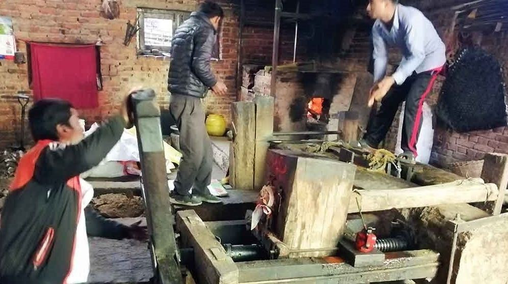 खोकनाको परम्परागत तोरी पेल्ने कोल लोप हुँदै