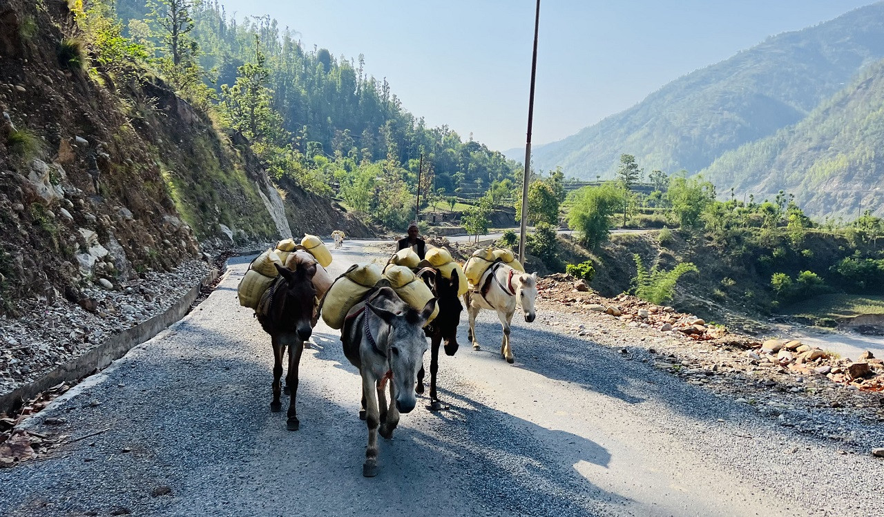 बालुवा बोकेर जुरेलीतर्फ...