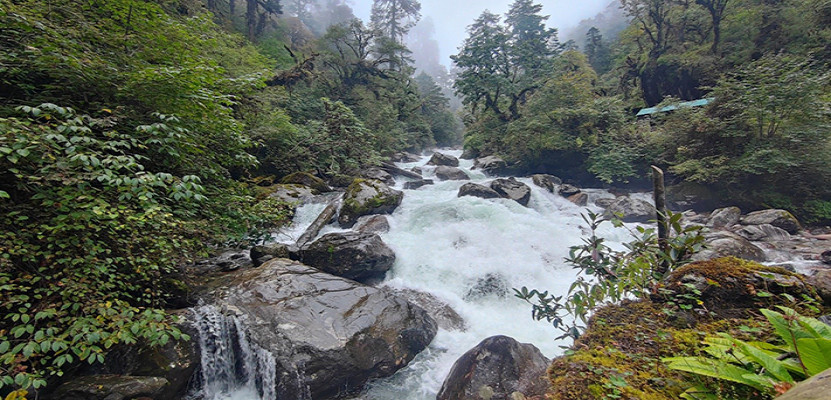 धादिङमा ४.५ मेगावाटको जलविद्युत आयोजना निर्माण हुँदै