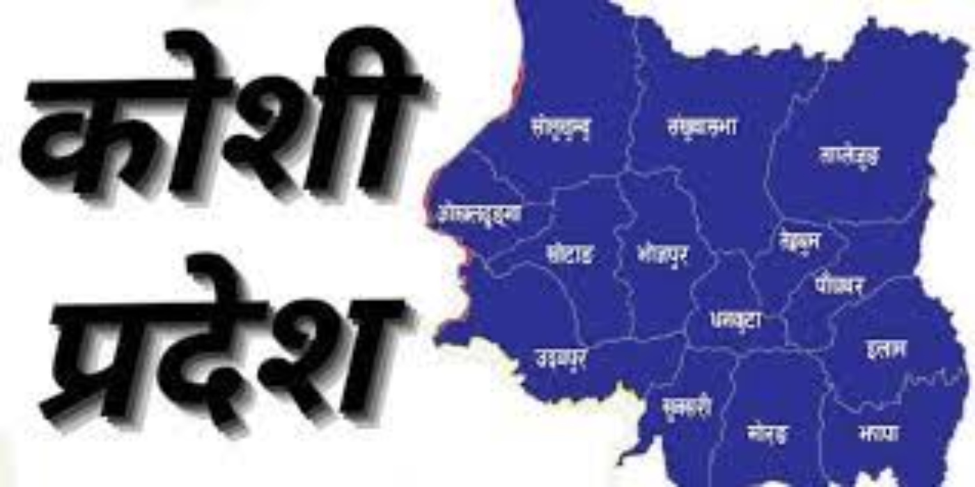 कोशीका ७ जिल्ला बाढीपहिरोको उच्च जोखिममा