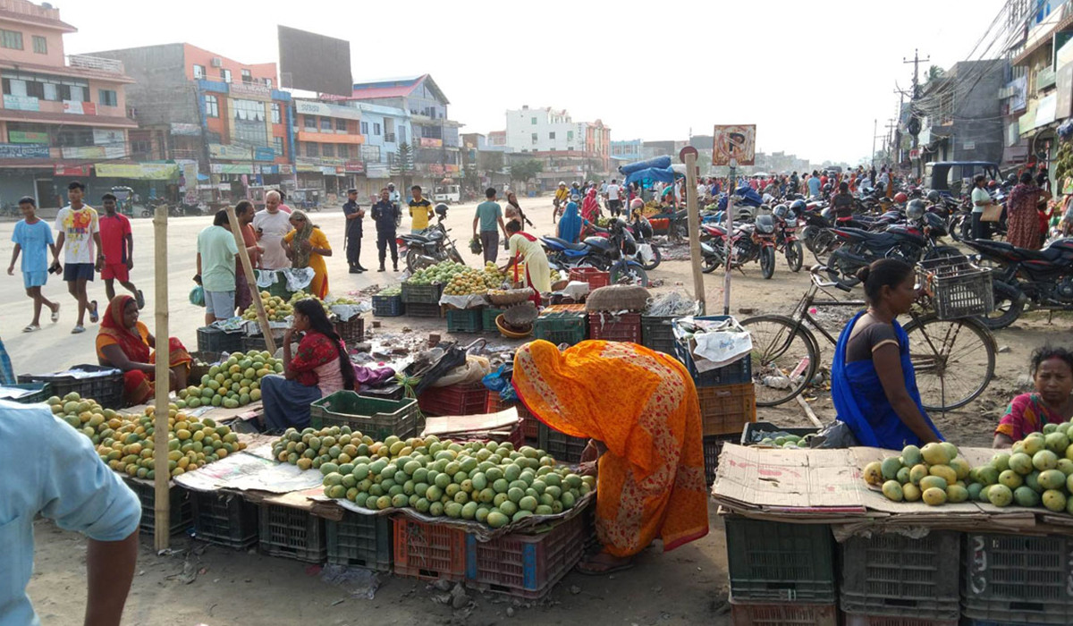 काठमाडौँको कुन ठाउँमा कतिमा पाइन्छ ब्राण्डेड ‘लहानको आँप’ ?