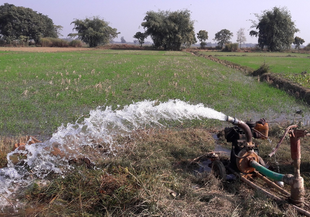 मिटरब्याज पीडितको ८ बिघा जग्गा फिर्ता