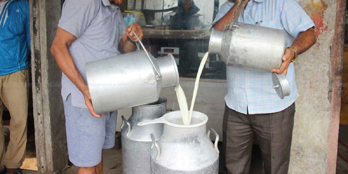 दूध आयातमा लगाइएको प्रतिबन्धको डेरी सङ्घद्वारा स्वागत