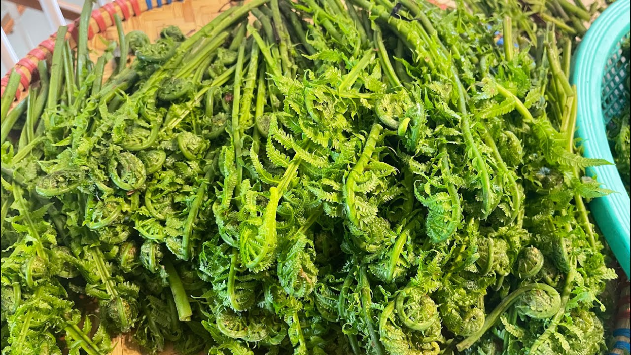 एकै वर्षमा १० लाख बढीको निगुरो बिक्री