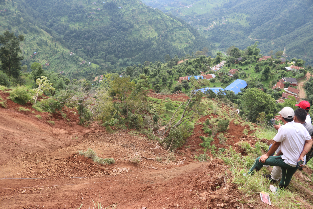 पहिरो प्रभावित क्षेत्रमा वृक्षरोपण