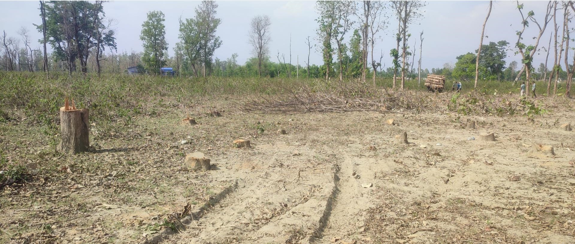 दोधारा चाँदनीमा सुक्खा बन्दरगाह निर्माणले लिँदै गति