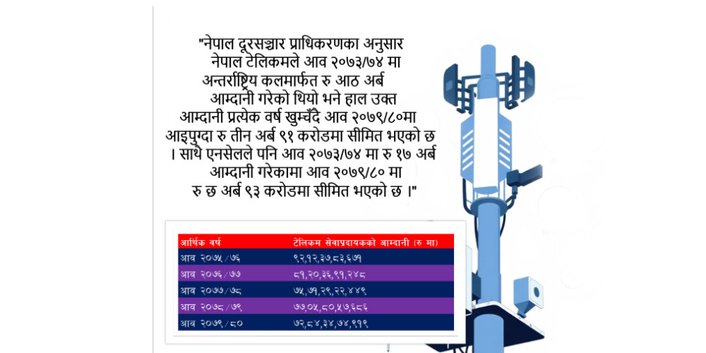 नीतिगत सुधार पर्खंदै टेलिकम कम्पनी
