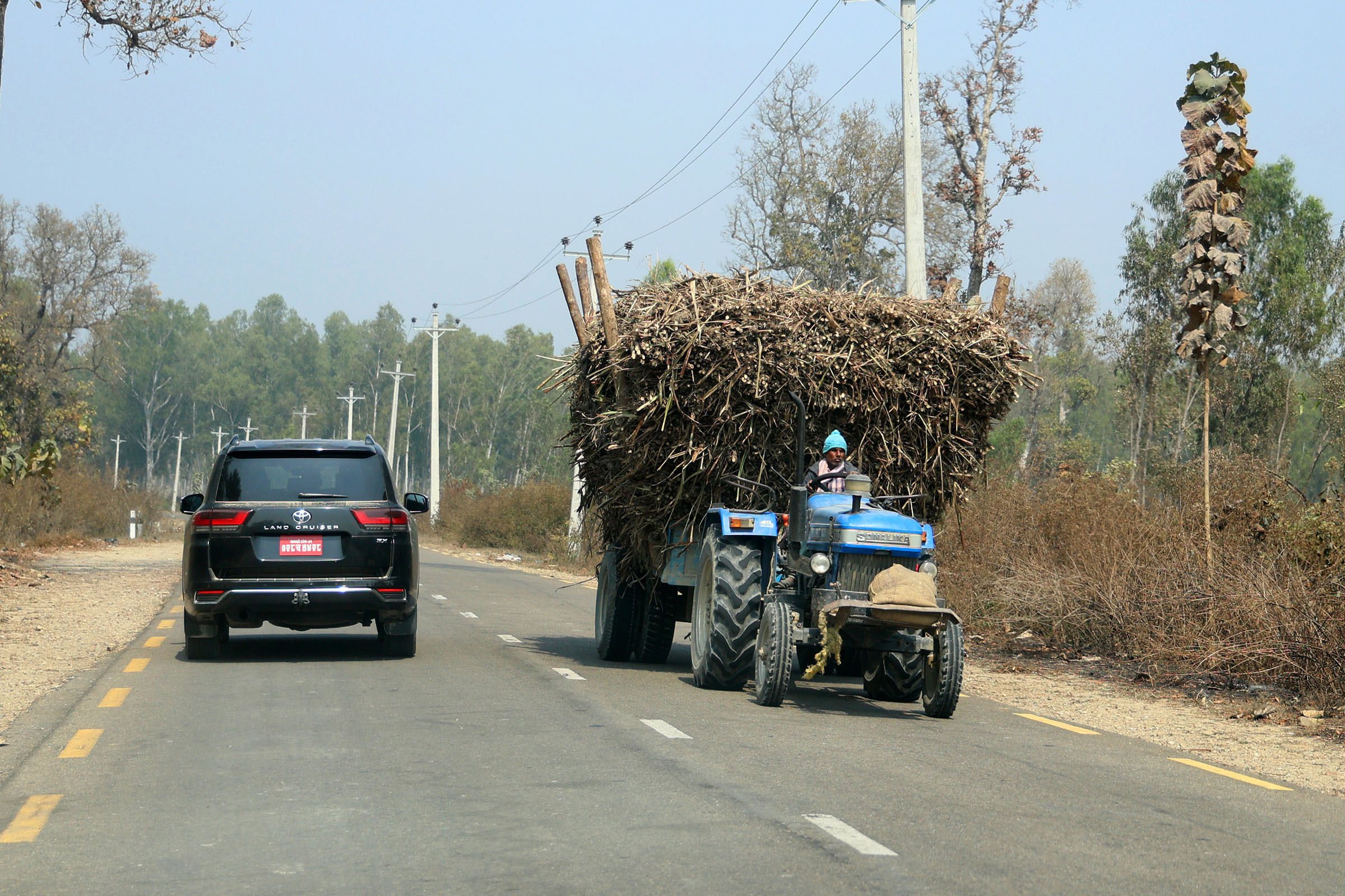 चिनी उद्योगलाई फागुनमै उखु अभाव